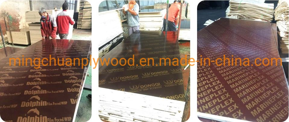 18mm Hardwood Combi Poplar Core Commercial Plywood Construction Marineplex Shuttering Formwork Film Faced Plywood